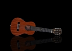Mini Acoustic/Electric Travel Guitar