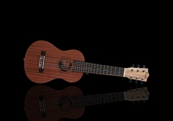 KaKa Mini Acoustic Travel Guitar